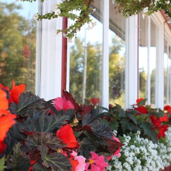 Four Seasons - Window boxes. - Bars Near Me - Finland, Minnesota