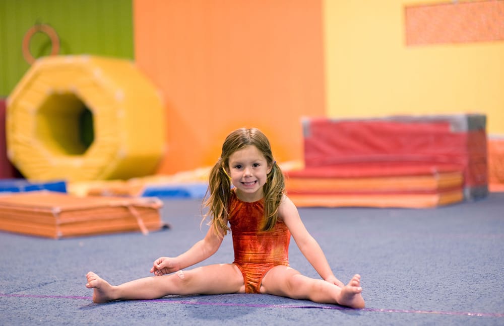 The Master's School of Gymnastics Logo