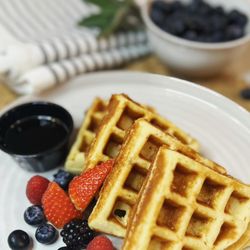 Spirited Food Co. - Coconut Waffle