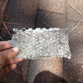 The Dryer Guys - Clogged screen at rooftop. - Appliances & Repair Near Me The Dryer Guys - Clogged screen at rooftop. - Appliances & Repair Near Me