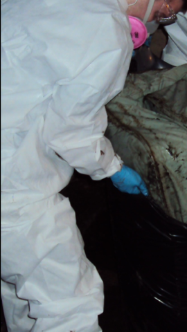 Slide of Butler Restoration