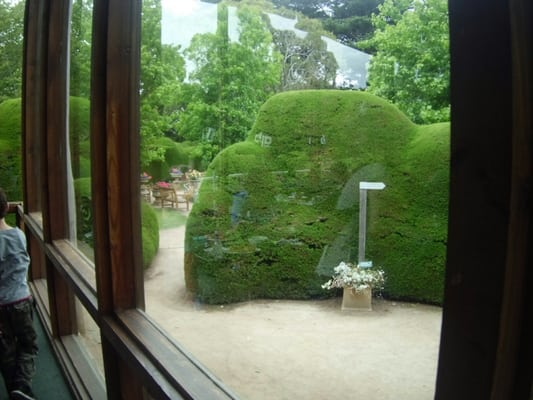 Ashcombe Maze & Lavender Gardens by null