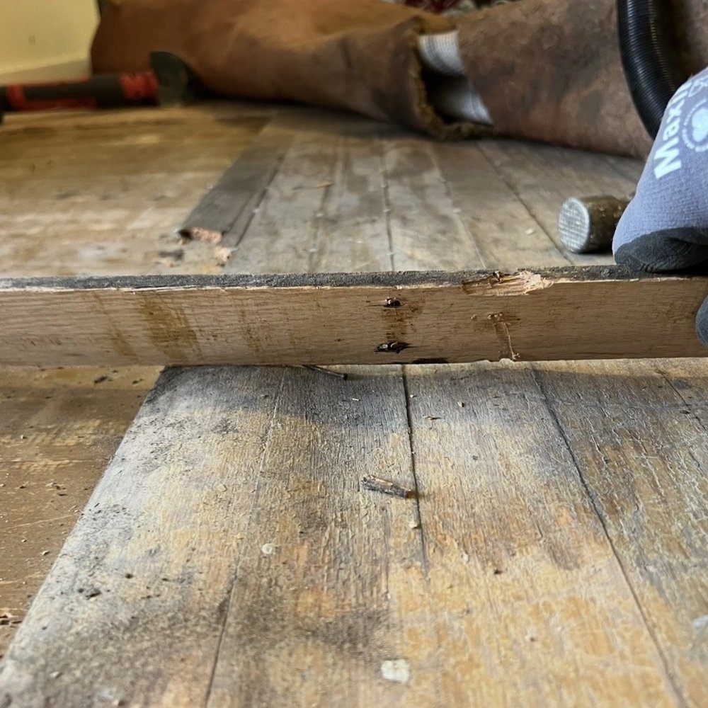 Bentos Flooring - My old water damaged floor. Super uneven. - Flooring Near Me - Pacifica, California Bentos Flooring - My old water damaged floor. Super uneven. - Flooring Near Me - Pacifica, California