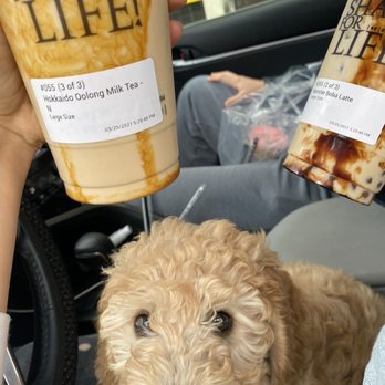 Ding Tea Eagle Rock - Bubble Tea Near Me - Los Angeles, California Ding Tea Eagle Rock - Bubble Tea Near Me - Los Angeles, California