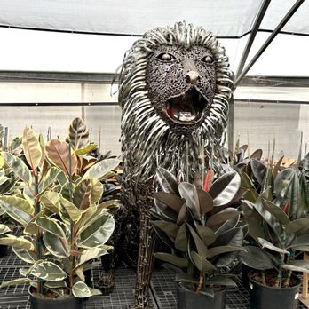 Plant and Pottery Outlet - Lion sculpture - Nurseries & Gardening Near Me - Sunol, California Plant and Pottery Outlet - Lion sculpture - Nurseries & Gardening Near Me - Sunol, California