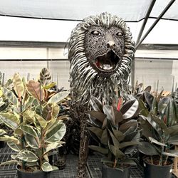 Plant and Pottery Outlet - Lion sculpture