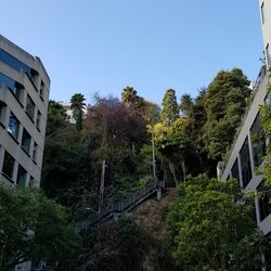 Best Movers Near Me January 2022 Find Nearby Movers Reviews Yelp