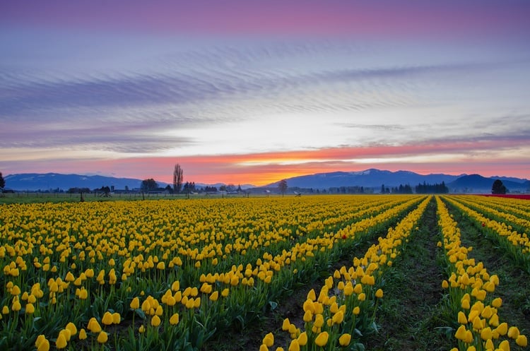 Slide of LaVergne's Plumbing & Heating
