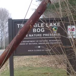Triangle Lake Bog