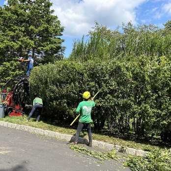 Leo's Tree Care - Tree Services Near Me