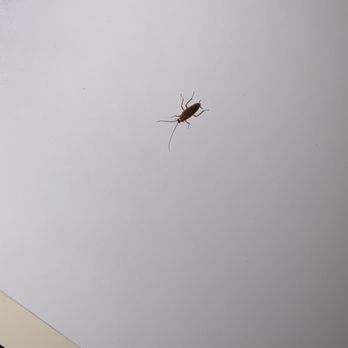 Extended Stay America Stockton Tracy Tracy Hotels Weekly Rate Motels Yelp