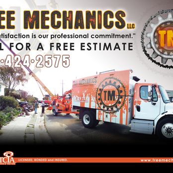 Tree Mechanics - Tree Services Near Me