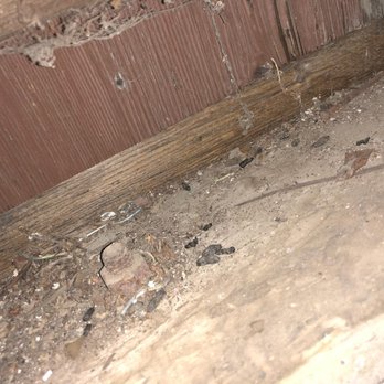 Rodent Exclusion Pro - Pest Control Near Me Rodent Exclusion Pro - Pest Control Near Me