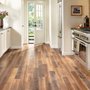 Wimberley Carpet, Tile & UpholsterySteam Cleaning