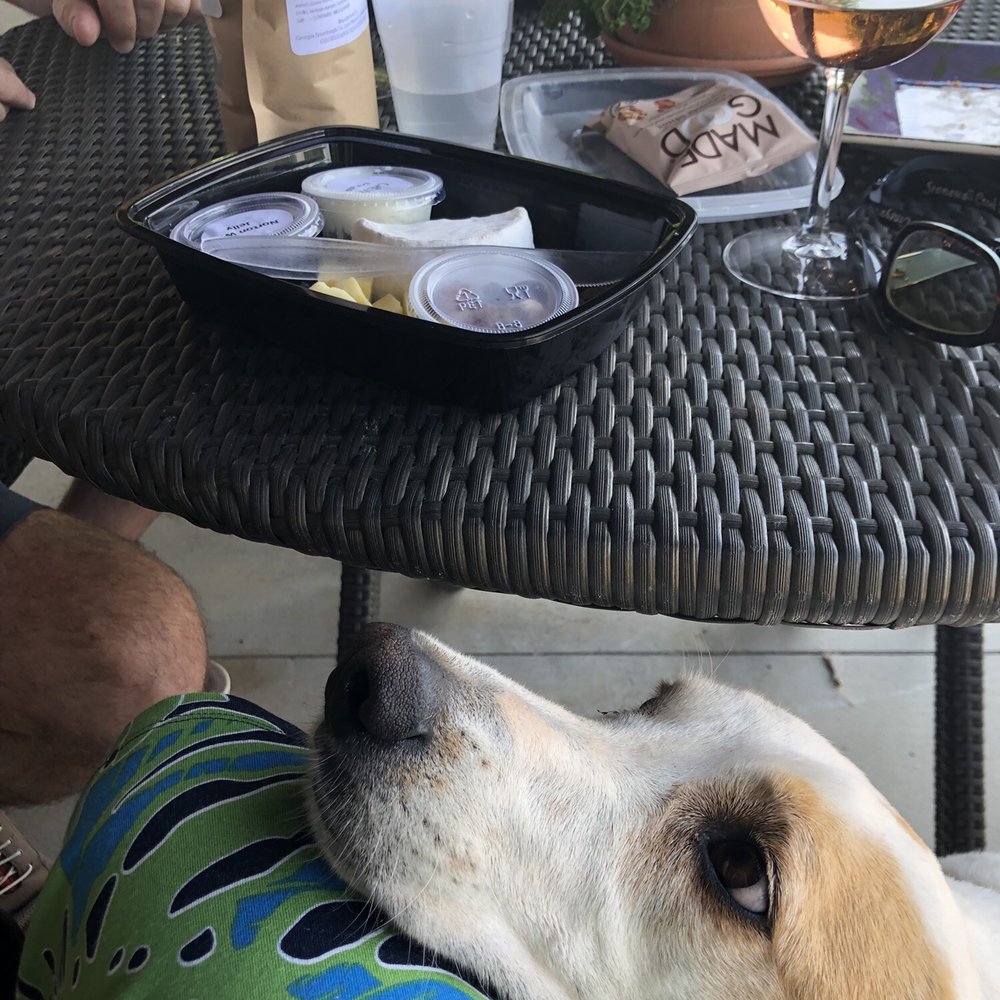 Stonewall Creek Vineyards - Friendly pups on the patio. - Wineries Near Me - Tiger, Georgia Stonewall Creek Vineyards - Friendly pups on the patio. - Wineries Near Me - Tiger, Georgia
