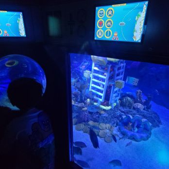 Legoland Deep Sea Adventure - Magical for an 8 year old. - Amusement Parks Near Me - Carlsbad, California Legoland Deep Sea Adventure - Magical for an 8 year old. - Amusement Parks Near Me - Carlsbad, California