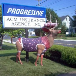 ACM Insurance Agency