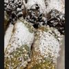 Virtuoso Pizzeria gift card
