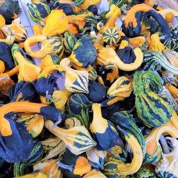 Phillips Produce - Gourd-geous! - Fruits & Veggies Near Me - Indianapolis, Indiana