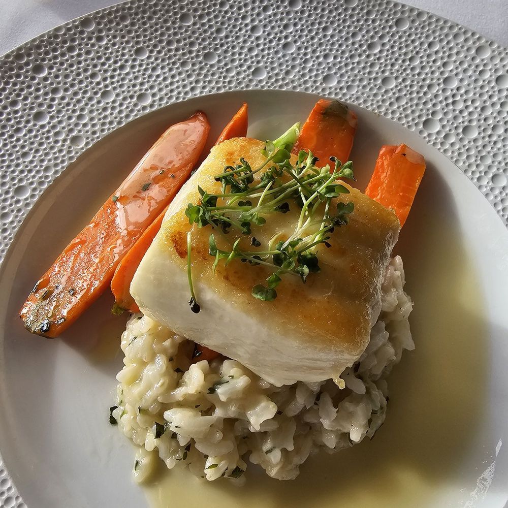 Halibut Halibut