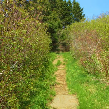 Lobster Cove Trail - Lots of greenery. - Hiking Near Me - Monhegan, Maine Lobster Cove Trail - Lots of greenery. - Hiking Near Me - Monhegan, Maine