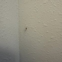 Lots and lots of these