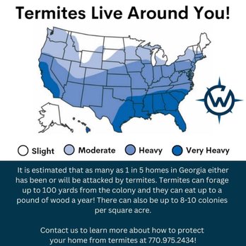 Windward Pest Services - Termites Live Around You! - Pest Control Near Me Windward Pest Services - Termites Live Around You! - Pest Control Near Me