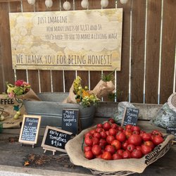 Little Wing Farm