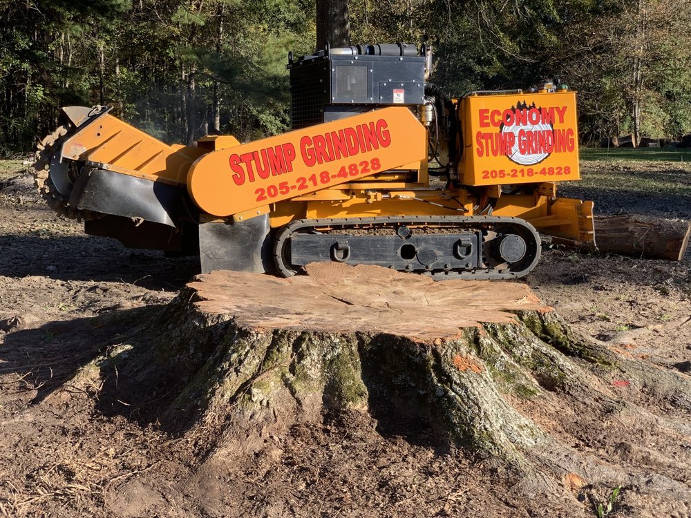 Economy Stump Removal - tree service in Birmingham, AL