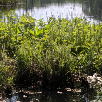 North Point State Park - Parks Near Me - Edgemere, Maryland