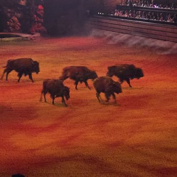 Dolly Parton's Stampede - Show - Performing Arts Near Me - Branson, Missouri
