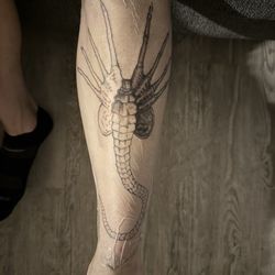 Grey Havens Tattoo - First session.