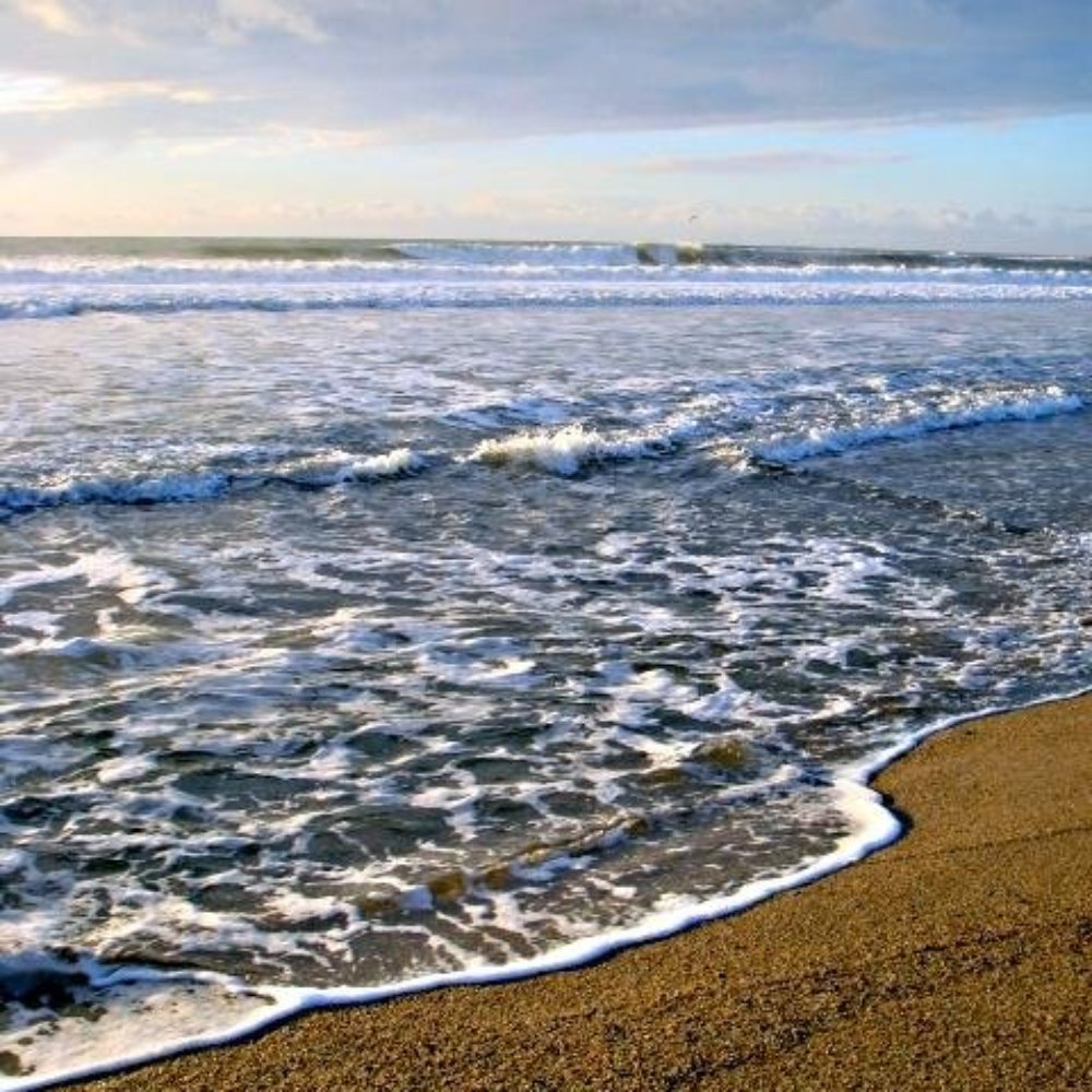 Scott Creek Beach - Beaches Near Me - Davenport, California