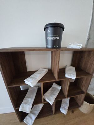 Kompose Hotel Sarasota by null