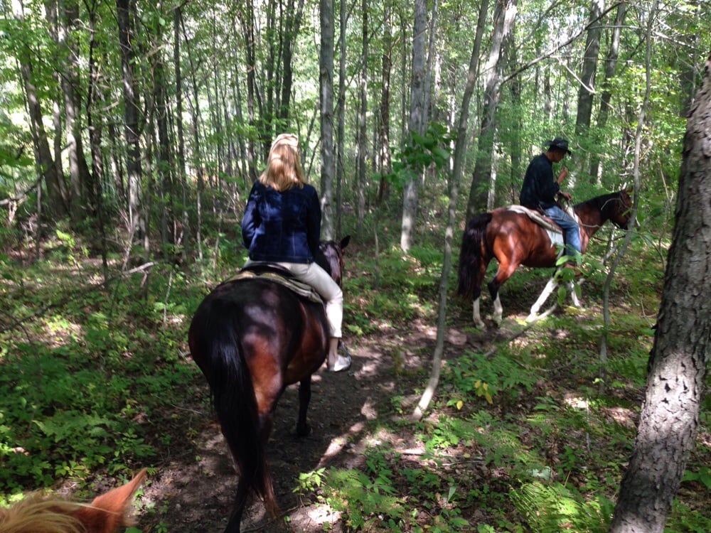 Simpsarosa Stables - equestrian in Grand Junction, MI