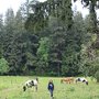 Photo of Moonsong Farm