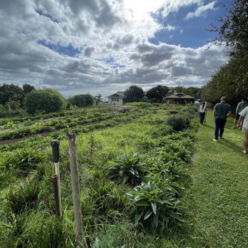 Homestead Maui - More garden views - Bakeries Near Me - Kula, Hawaii Homestead Maui - More garden views - Bakeries Near Me - Kula, Hawaii
