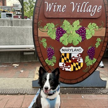 Wine Village in Baltimore - Festivals Near Me - Baltimore, Maryland Wine Village in Baltimore - Festivals Near Me - Baltimore, Maryland