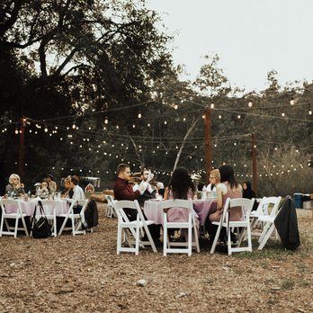 Reptacular Animals - Party & Event Planning Near Me - Sun Valley, California Reptacular Animals - Party & Event Planning Near Me - Sun Valley, California