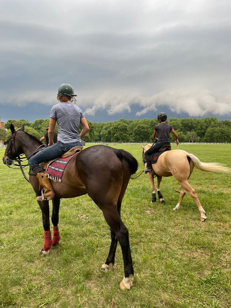 Hoof N' Woof - equestrian in Davidsonville, MD