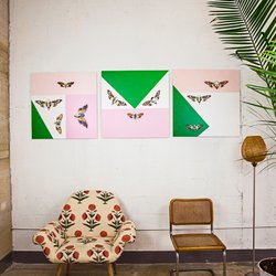 MaryJane Claverol - Frameless Print of Butterfly collage on PVC support. Pvc is 5mm thick. Wall Mounted. Size 30X30″