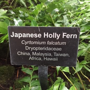 Garfield Park Conservatory - The signage is very helpful for those of us who don't know the endless varieties of plants here. - Parks Near Me - Chicago, Illinois