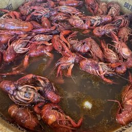 Crawfish Crawfish