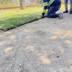 Mora's Landscaping Services