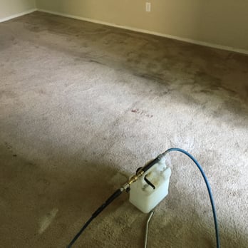 First Image Carpet Solutions - Carpet Cleaning Near Me - Orlando, Florida