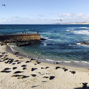 Children's Pool - Beaches Near Me - La Jolla, California