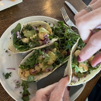 Cactus Rose Restaurant & Tequila Bar - Shrimp Taco - Latin American Near Me - Wilton, Connecticut