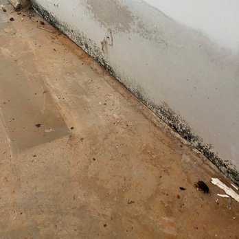 All County Expert Property Management - Evidence of previous water damage and mold - Real Estate Services Near Me - Cumming, Georgia