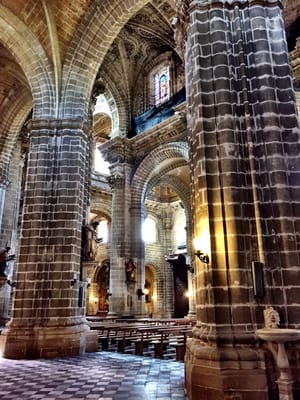 Catedral de Jerez de la Frontera / Colegiata de Nuestro Señor San Salvador by null