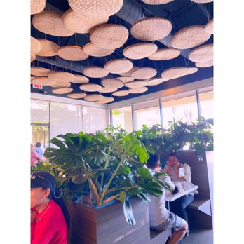Sit lo Saigon - Omg the ceiling! Plants made it feel so tropical. - Vietnamese Near Me - Elk Grove, California Sit lo Saigon - Omg the ceiling! Plants made it feel so tropical. - Vietnamese Near Me - Elk Grove, California